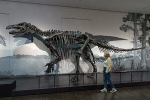 Übersee-Museum Bremen