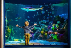 SEA LIFE Hannover