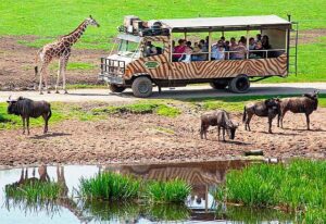 Serengeti-Park Hodenhagen