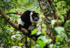 Allwetterzoo Münster