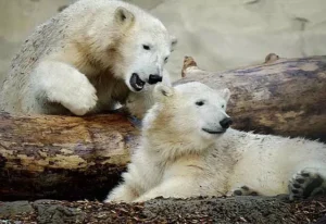 Zoo am Meer Bremerhaven