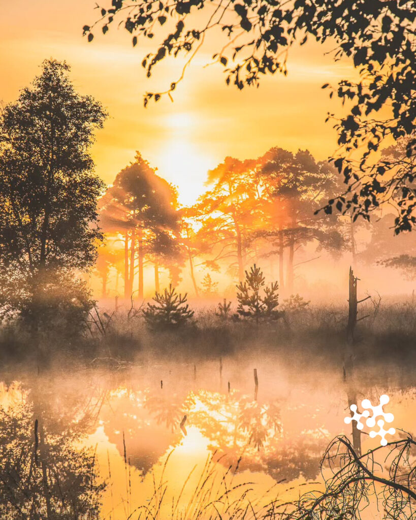 Was für ein wundervoller Nebel am Morgen im Pietzmoor in Niedersachsen! Bei so einem Anblick lohnt sich das frühe Aufstehen allemal. 😍 ☀️⁠
⁠
Vielen Dank fürs Teilen! ✨⁠
⁠
@ewelinapop_photography⁠
⁠
#repost #beautifulworld #niedersachsenticket #niedersachsen #bahnfahren #spontan #klimafreundlich #Sonne⁠