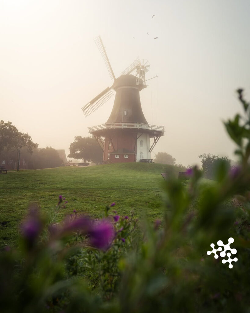 Mitten in Ostfriesland und so schön idyllisch! ✨
Die Zwillingsmühlen in Greetsiel sind das Wahrzeichen des Ortes und ein beliebtes Fotomotiv. 😍
Vielen Dank fürs Teilen! 📸
@sven_huehn
#repost #beautifulworld #NiedersachsenTicket #niedersachsen #bahnfahren #klimafreundlich #photooftheday
