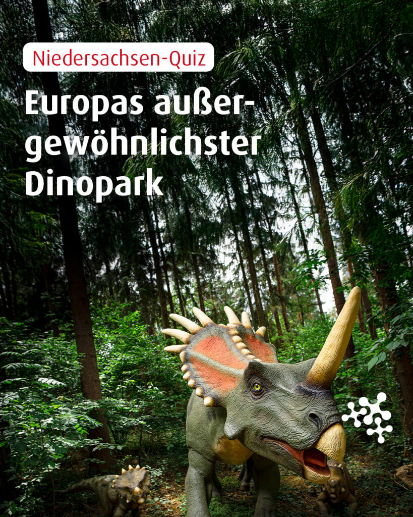 Nahe dem Steinhuder Meer liegt ein Ort, an dem scheinbar die Zeit stehen geblieben ist … .⁠
Zumindest gibt es dort Spuren aus einer sehr frühen Epoche! 🦕 🦖⁠
⁠
Weißt du, was diesen Ort so besonders macht? ⏳⁠
⁠
Bild © Leoistcool, CC BY-SA 4.0, via Wikimedia Commons⁠
⁠
#quiz #WissenToGo #Kultur #NiedersachsenTicket #dinopark #münchehagen⁠