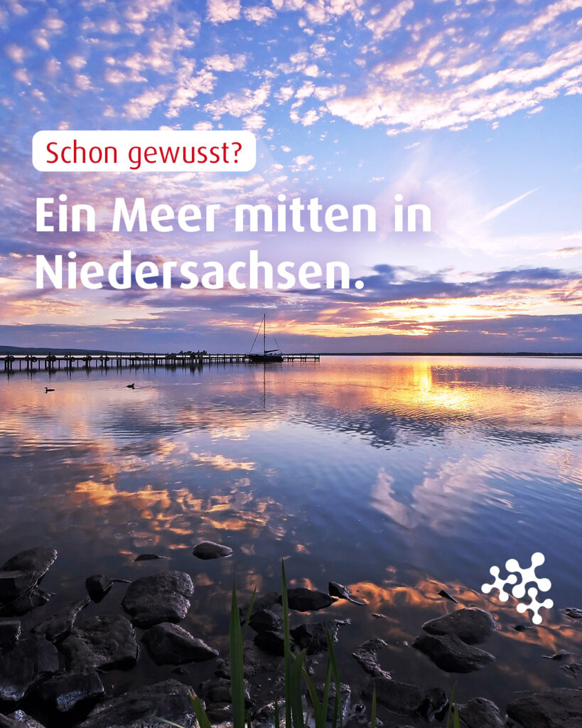 Hier gibt es keine Brandung. Trotzdem heißt dieser Ort „Meer“. 🌊⁠
⁠
Aber warum eigentlich? 🤔⁠
⁠
#quiz #WissenToGo #SteinhuderMeer #NiedersachsenTicket #meer⁠
