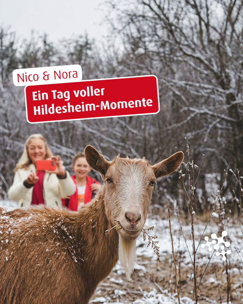 Nico und Nora genießen heute einen echten Entdeckertag in Hildesheim. 🚂 🦌 🍔⁠
Los geht’s mit heißer Schokolade und einer nostalgischen Modelleisenbahn in der Kaffee Rösterei Schuler, bevor es weiter zum Wildgatter geht – mit Snack-Pause im Wildgatter-Kiosk.⁠
⁠
Zwischen Damwild, Frischluft und Winterzauber sammeln die beiden jede Menge Lieblingsmomente, bevor der Tag mit saftigen Burgern in der Bootschaft endet. 😍 ❄️⁠
⁠
@kaffeeroestereischuler⁠
@wildgatterhildesheim⁠
@bootschaft_bar⁠
⁠
#Hildesheim #NiedersachsenTicket #Unterwegs #Winterausflug #Tagestrip #Niedersachsen #Wildgatter⁠