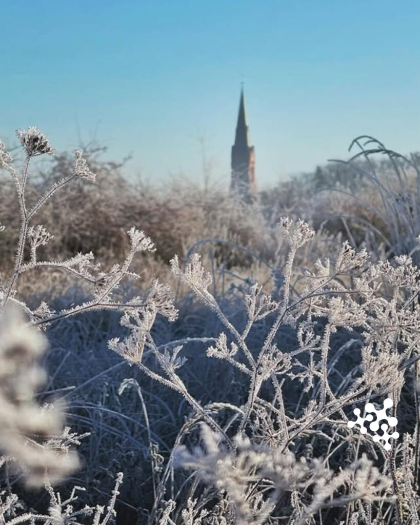 Was für ein winterlicher Ausblick auf die St. Martin Kirche in Nienburg! 😍❄️⁠
⁠
Danke @stefans_fotoalbum!⁠
⁠
#repost #beautifulworld #niedersachsenticket #niedersachsen #bahnfahren #nienburg⁠