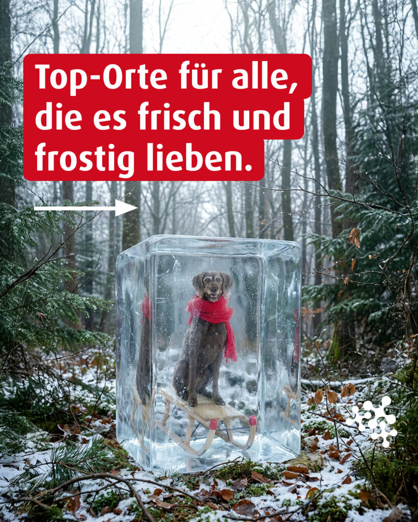 Top-Orte, wo es gerade wunderschön frisch sein kann. ​❄️​🤍​🧊⁠
👉 Also: Lieber kuschelig mit der Gruppe reisen und immer schön in Bewegung bleiben!⁠
⁠
#NiedersachsenTicket #Niedersachsen #TopOrte #unterwegs #Nahverkehrszüge⁠
⁠
Bild 2 © Katerwursty / Pixabay⁠
Bild 3 © Katharina Bill / Unsplash⁠
Bild 4 © William Warby / Unsplash⁠
Bild 5 © Natalya Karpeka / Unsplash⁠
Bild 6 © Marina Reich / Unsplash⁠