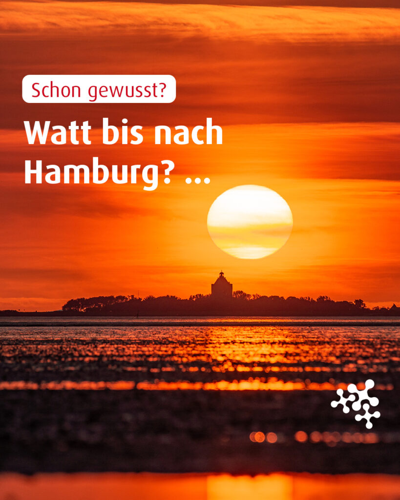 Nur ein paar Schritte durchs Watt – wohin führt der Weg? 🌊👣⁠
⁠
#WattAbenteuer #NordseeGeheimnis #Cuxhaven #NiedersachsenTicket #keepexploring ⁠
