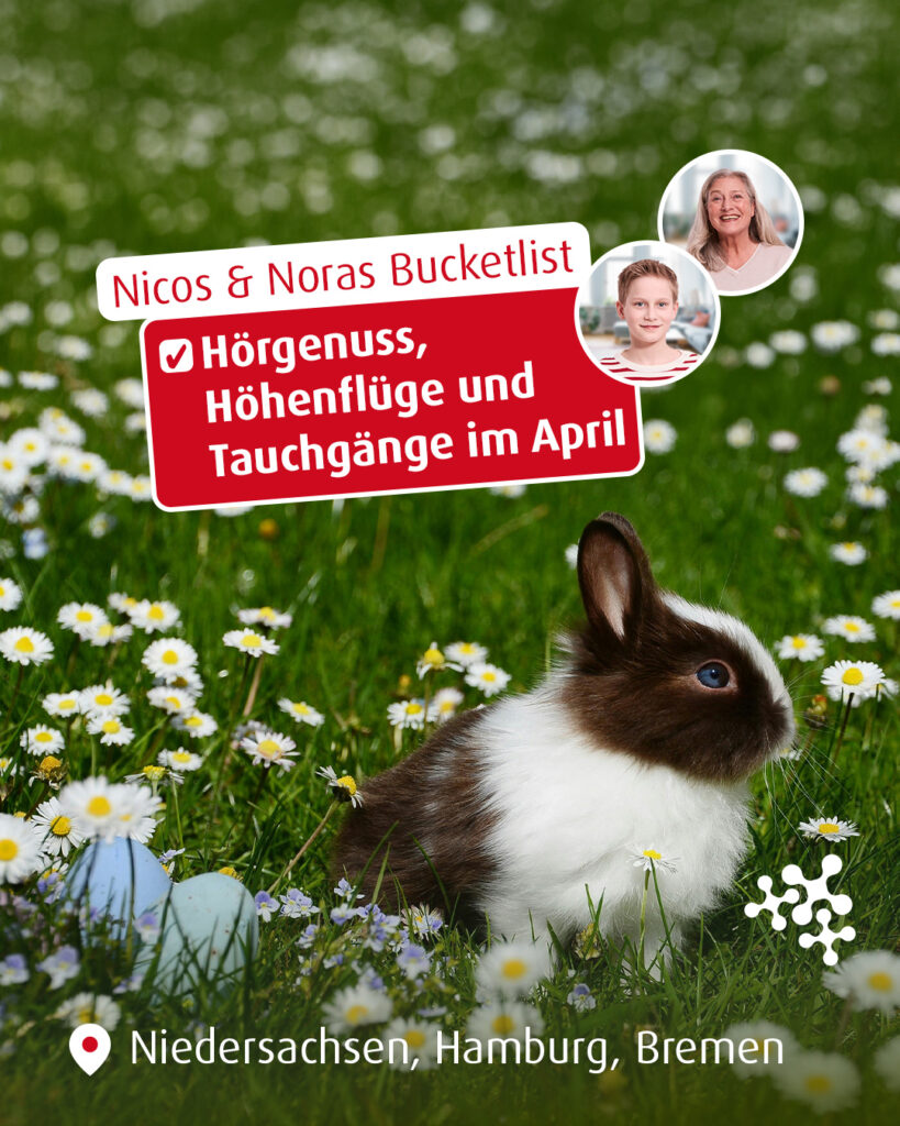 Osterferien!! Und Nicos Cousin hat einen wichtigen Auftritt: Er spielt nämlich Posaune im Bundesjugendorchester und tritt beim 29. Euregio Musikfestival zum ersten Mal vor großes Publikum. 🫣​ Da müssen die Niedachs natürlich hin! ⁠
⁠
Außerdem zum Frühlingsfest nach Hannover: Oma Nora will unbedingt mal wieder ins Kettenkarussell und ne riesige Tüte Popcorn essen. ​🍿 Ruhiger kann es dann in Wilhelmshaven bei den Schweinswalen werden – aber bestimmt nicht weniger aufregend! ​🐋 ⁠
⁠
Worauf freust du dich im April? Hast du noch nen heißen Tipp für uns? 👇⁠
⁠
@euregiomusikfestival @volxfest4.0 @jadewale_whv