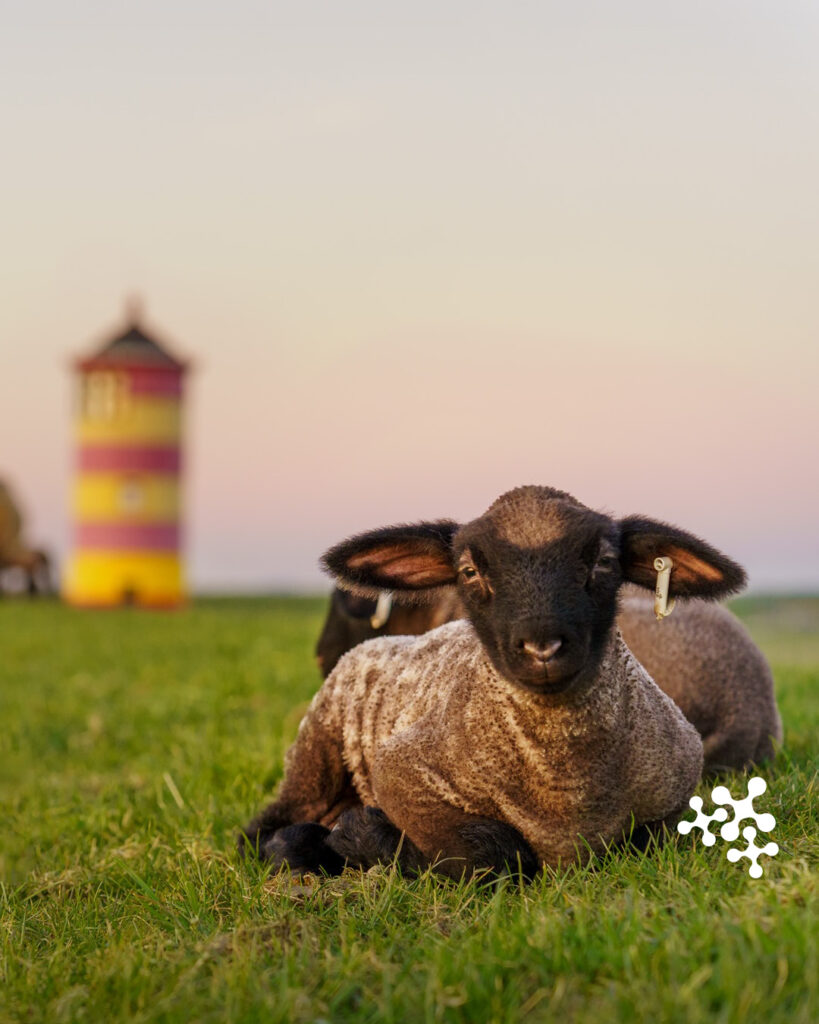 @sven_huehn zeigt uns wieder einmal wunderschön, welch malerische Kulissen Niedersachsen bietet. Danke! 🤩
