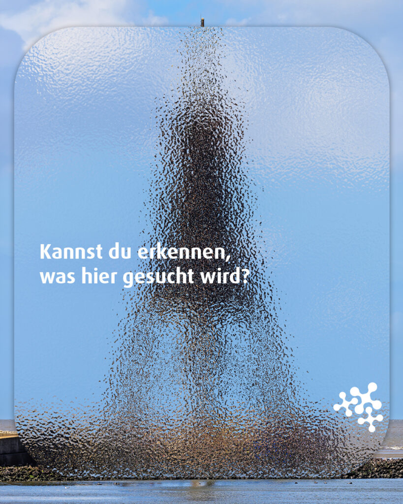 Hier suchen wir etwas ganz hoch oben im Norden, am Rand der Nordsee. 🌊 Du erkennst doch sicher, was wir hier hinter der Glasscheibe versteckt haben, oder? 👀
Bild © A.Savin, FAL, via Wikimedia Commons
