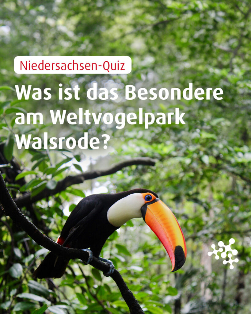 Vom Weltvogelpark in Walsrode hat sicherlich schon jeder mal was gehört, oder? Weißt du auch, was ihn so besonders macht? 🦜 🦅
Bild © carmelita_rodrigues, Unsplash