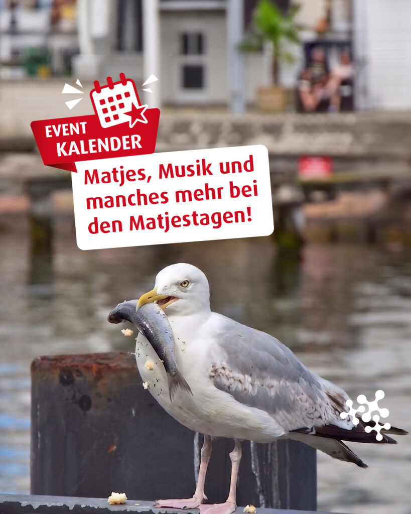 Hey! Haltet die Möwe auf! Sie hat mein Fischbrötchen geklaut! 😳 Sag mir Bescheid, wenn du sonst alternativ eine Portion Pommes findest.
So oder so sehen wir uns doch sicher im nächsten Strandkorb … oder?☀️ 😎 🐟
Bild © Pixaline, Pixabay - das Bild wurde mit Hilfe von KI bearbeitet.
