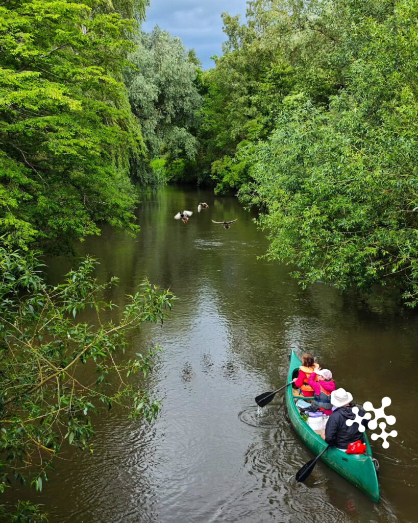 Hand aufs Herz: Wer von euch würde jetzt auch am liebsten dem Alltag davonpaddeln? 🛶 🤫⁠
⁠
@c.brischi hat uns diesen idyllischen Moment von der Ilmenau bei Bad Bevensen geschickt.🌳 🦆⁠
⁠
Danke für den tollen Schnappschuss, liebe Carola! 🥰