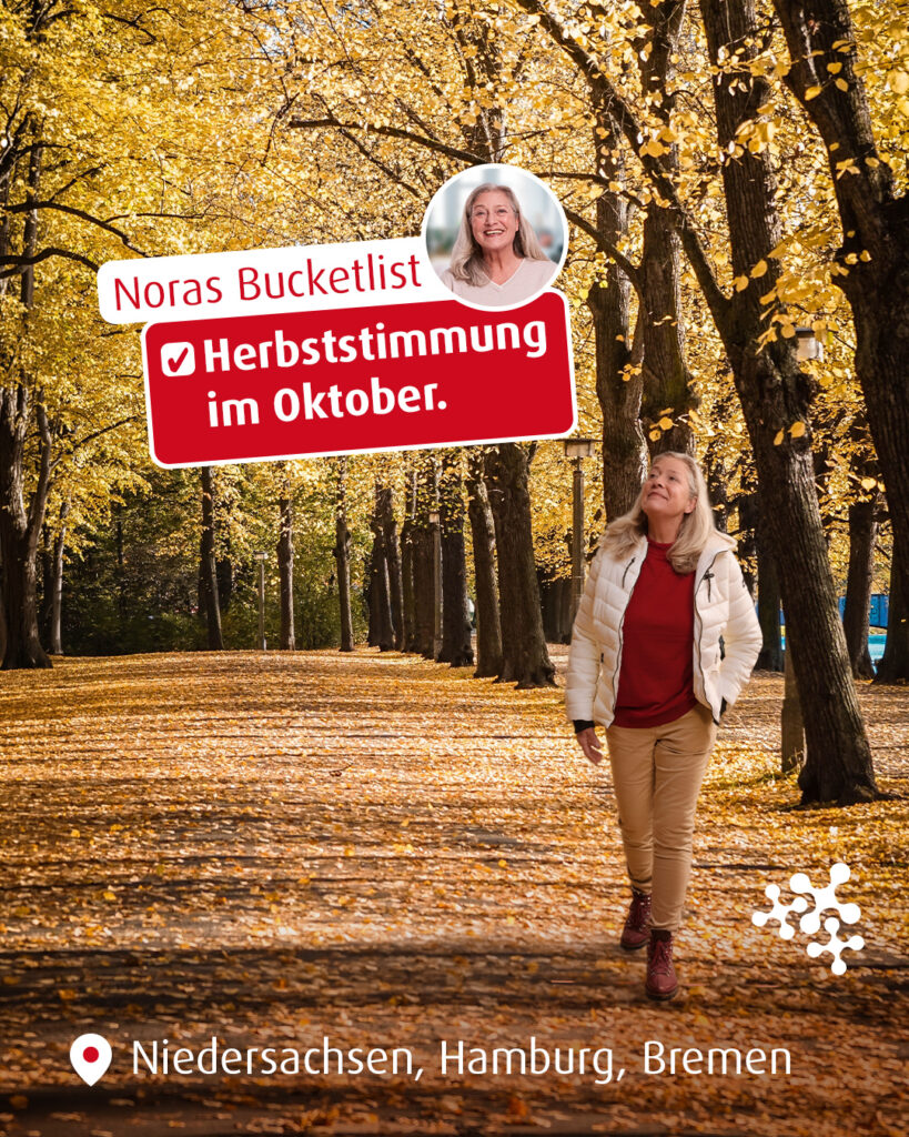 Der Herbst ist da und Nora weiß einfach, wie man die goldene Jahreszeit zelebriert! 🍂 ✨
Ihr Plan für den Oktober:
Den Auftakt macht der Hamelner Herbstmarkt mit seinen bunten Ständen und saisonalen Leckereien. Danach wird auf dem Oktoberfest Hannover im Kettenkarussell dem Herbstwind entgegen gewirbelt 🎡. Und auf dem Herbst- und Bauernmarkt in Bad Sachsa wandern frisches Obst und regionale Schätze in ihren Einkaufskorb. 🎃 🍎
Welches Erlebnis ist in deinem Kalender für den Oktober schon fest eingeplant? Schreib es uns in die Kommentare! 👇
@rattenfaengerstadt_hameln @volxfest4.0 @badsachsatourismus